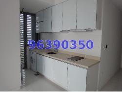 Signature At Lewis (D10), Apartment #153756532